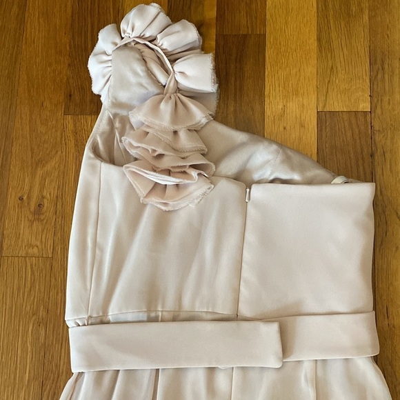 Dessy Girl Tan One Shoulder Dress Size 12 - Picture 8 of 9